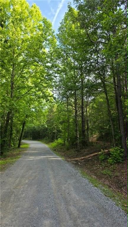 Image 13 of property listing at 0 Lucas Lane, Dallas, GA 30132
