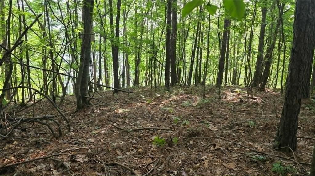 Image 2 of property listing at 0 Lucas Lane, Dallas, GA 30132