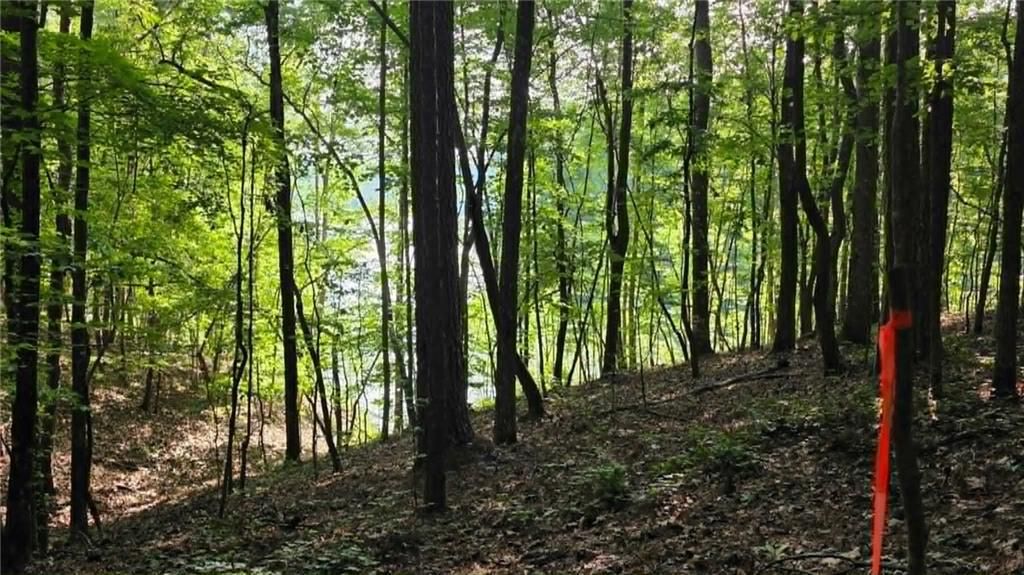 Image 3 of property listing at 0 Lucas Lane, Dallas, GA 30132