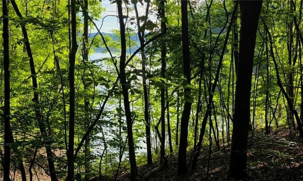 Image 4 of property listing at 0 Lucas Lane, Dallas, GA 30132