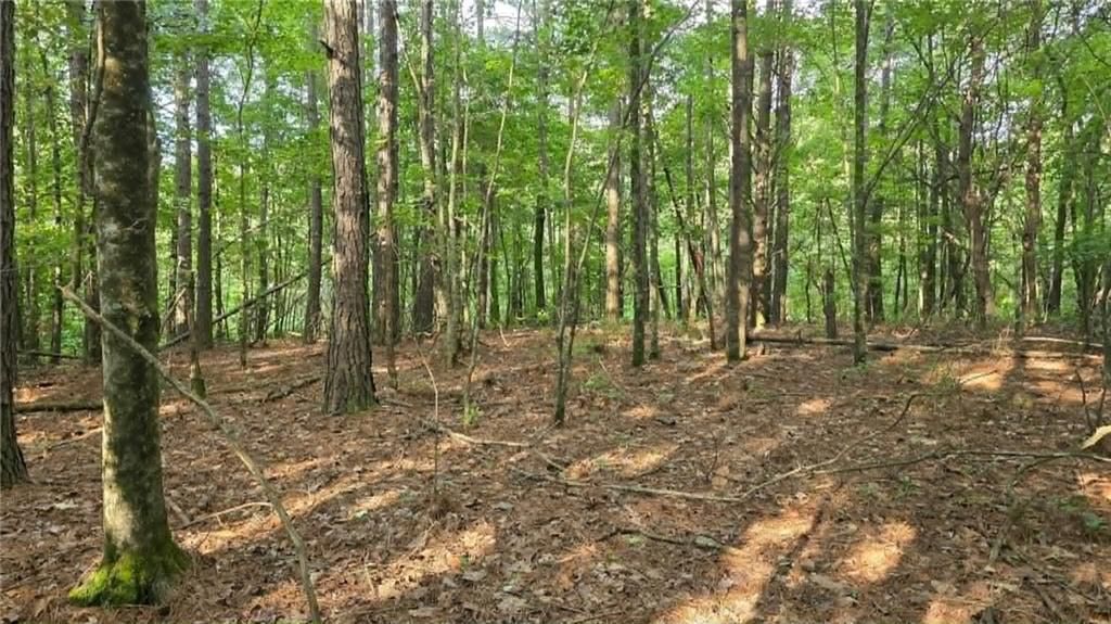 Image 7 of property listing at 0 Lucas Lane, Dallas, GA 30132