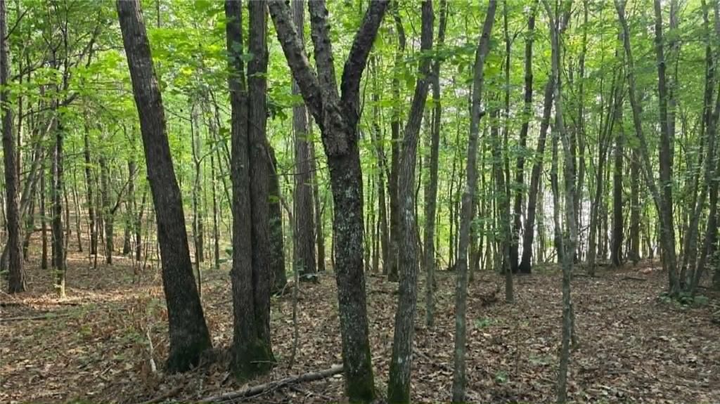 Image 8 of property listing at 0 Lucas Lane, Dallas, GA 30132