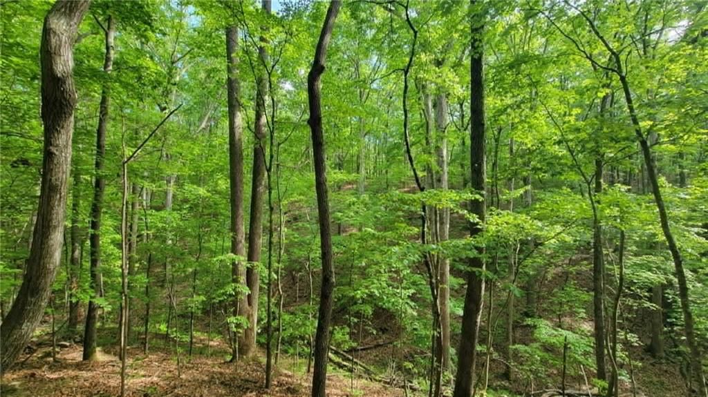 Image 9 of property listing at 0 Lucas Lane, Dallas, GA 30132