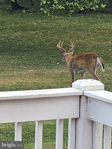 764 QUARRY RD, Bunker Hill, WV 25413