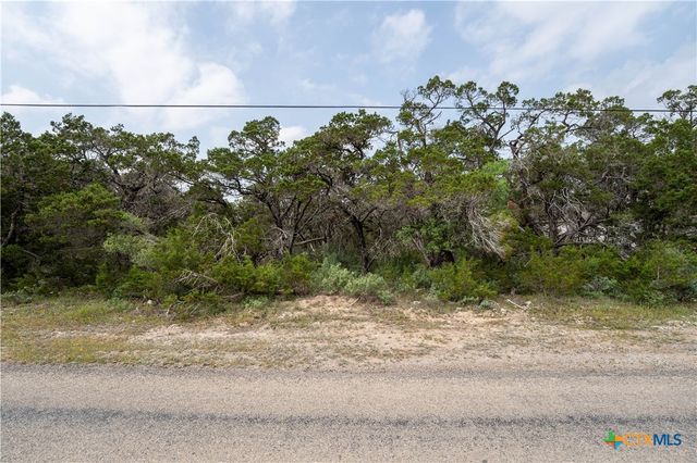 6136 Tanglewood Trail, Spring Branch, TX 78070