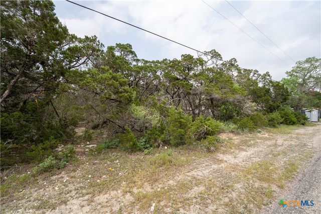 6136 Tanglewood Trail, Spring Branch, TX 78070