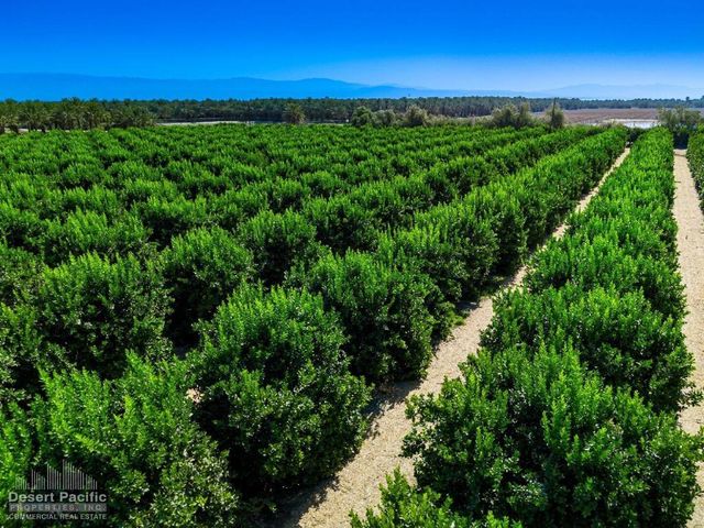 0 Ave 67 & Van Buren St, Thermal, CA 92274