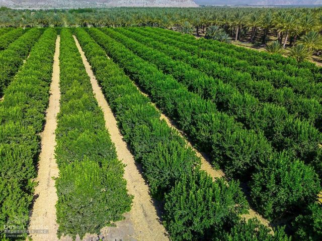 0 Ave 67 & Van Buren St, Thermal, CA 92274