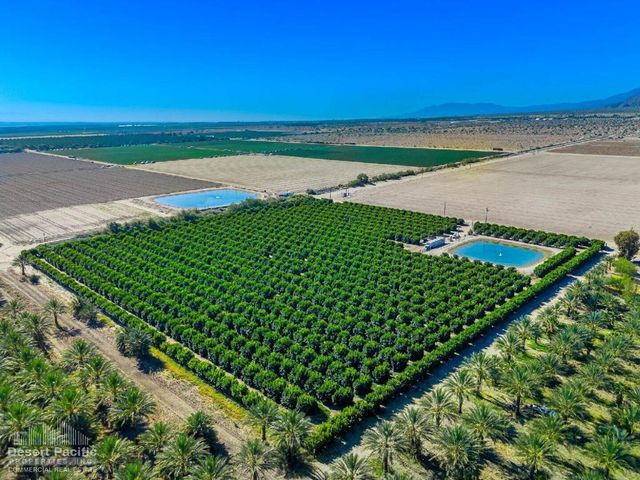 0 Ave 67 & Van Buren St, Thermal, CA 92274