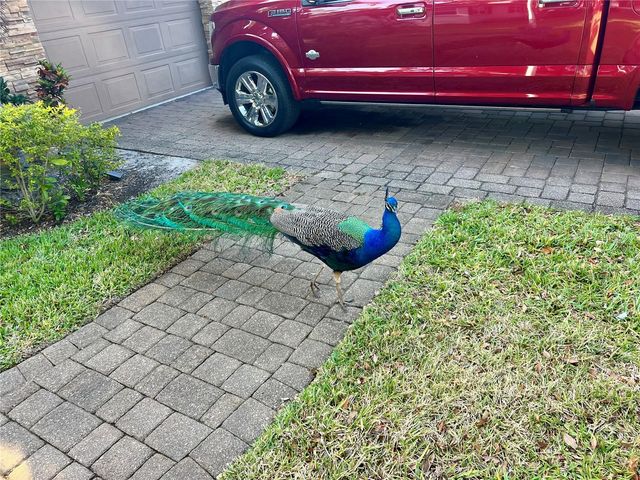 1437 COUNTRY CLUB RD N ROAD N COUNTRY CLUB RD N, St Petersburg, FL 33710