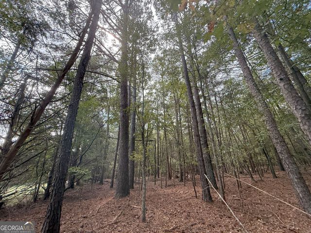 5 Jefferson River Road, Athens, GA 30607