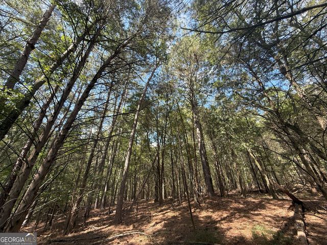 5 Jefferson River Road, Athens, GA 30607