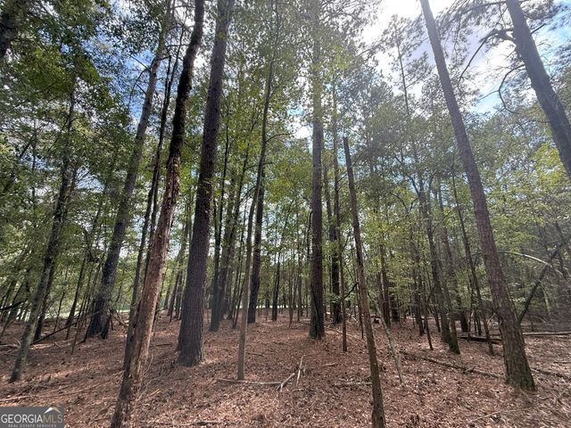 5 Jefferson River Road, Athens, GA 30607