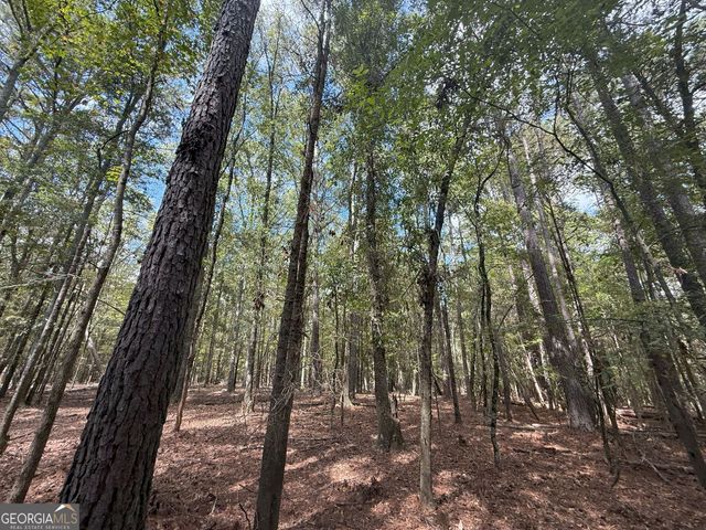 5 Jefferson River Road, Athens, GA 30607