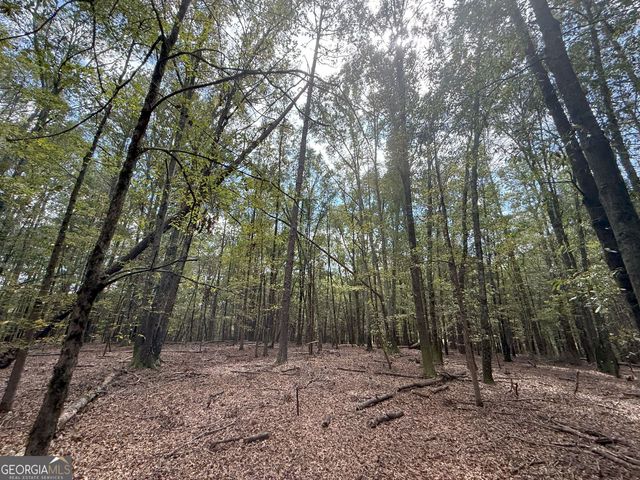 5 Jefferson River Road, Athens, GA 30607