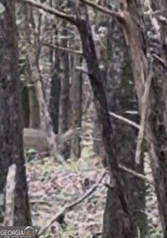 5 Jefferson River Road, Athens, GA 30607