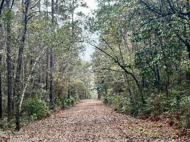 1208 De La Pointe Drive, Gautier, MS 39553