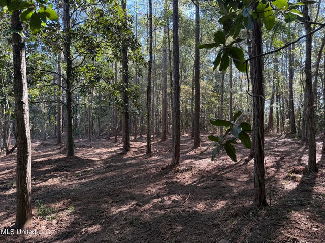 1208 De La Pointe Drive, Gautier, MS 39553