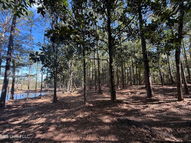 1208 De La Pointe Drive, Gautier, MS 39553