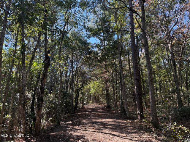 1208 De La Pointe Drive, Gautier, MS 39553