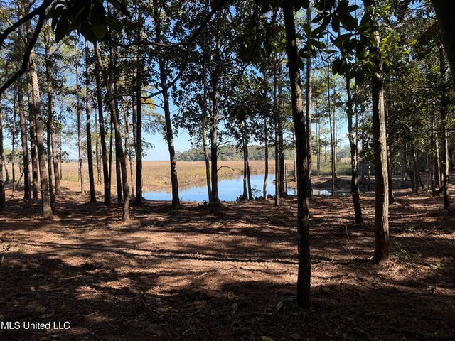 1208 De La Pointe Drive, Gautier, MS 39553