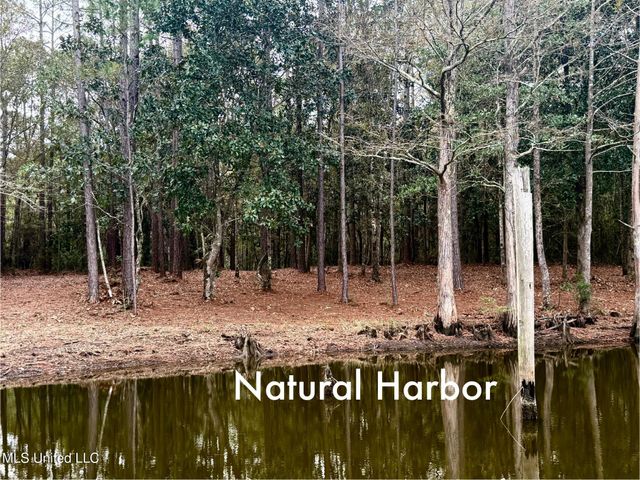 1208 De La Pointe Drive, Gautier, MS 39553