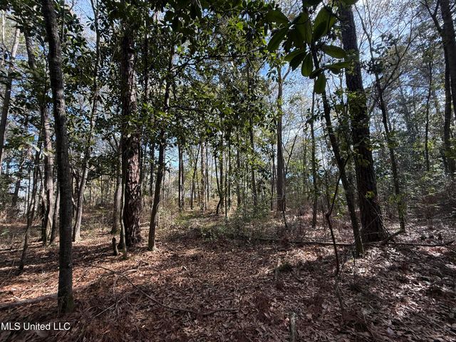 1208 De La Pointe Drive, Gautier, MS 39553