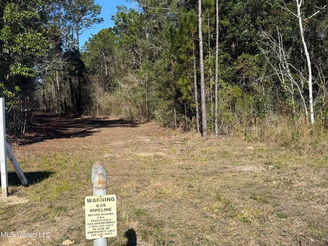 1208 De La Pointe Drive, Gautier, MS 39553