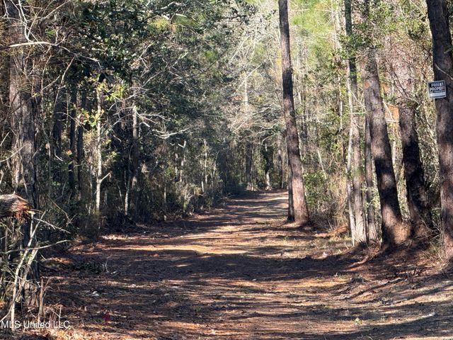 1208 De La Pointe Drive, Gautier, MS 39553