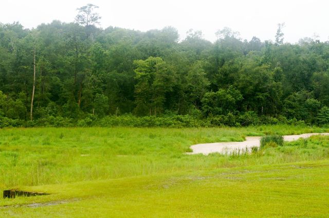 317 Hickory Drive E, Livingston, TX 77351