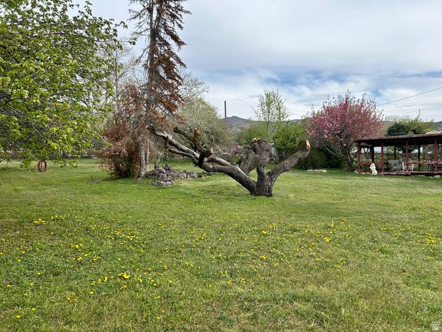 1195 S ORCHARD DR, Bountiful, UT 84010