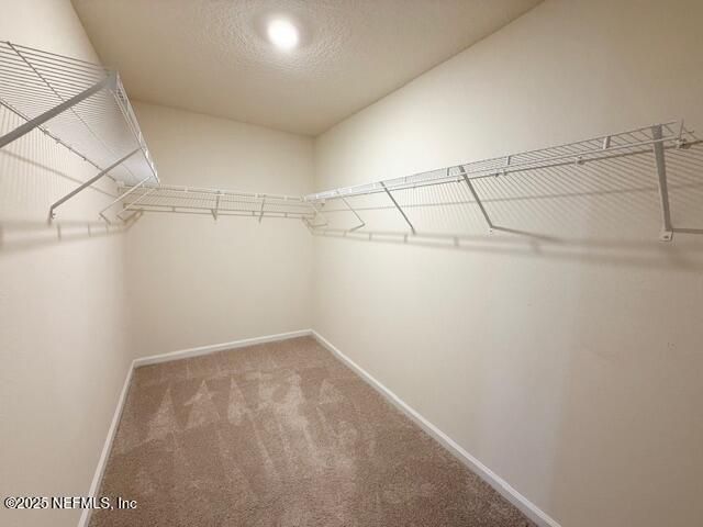 503 COASTLINE Way, St. Johns, FL 32092