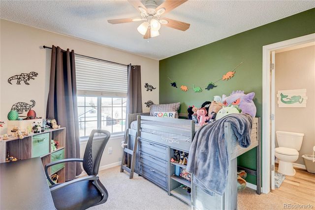 17138 Silver Mound Lane, Parker, CO 80134