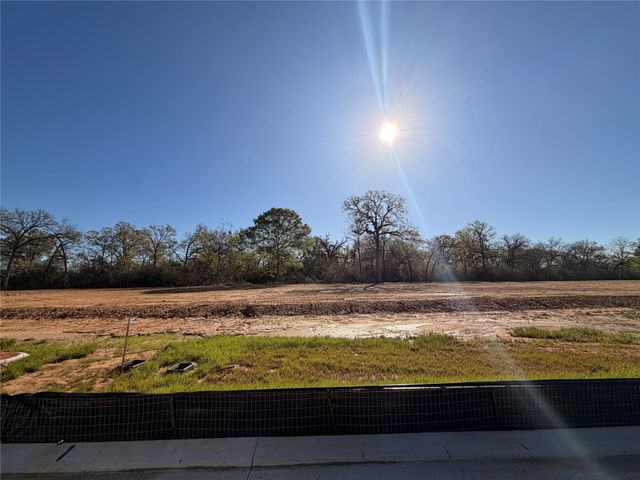 8531 Light Rail Drive, Fulshear, TX 77441