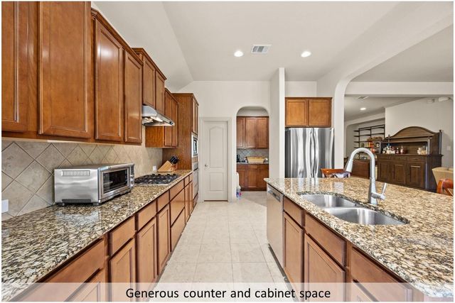 1101 Dyer Crossing WAY, Round Rock, TX 78665