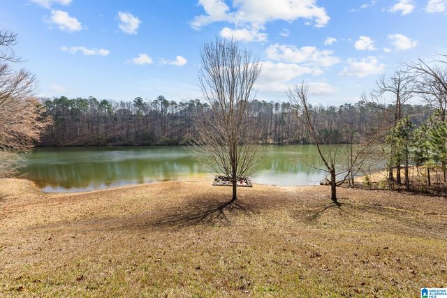 8707 CARRINGTON LAKE RIDGE, Trussville, AL 35173