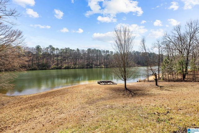 8707 CARRINGTON LAKE RIDGE, Trussville, AL 35173