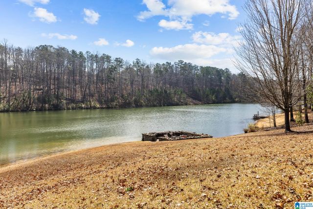 8707 CARRINGTON LAKE RIDGE, Trussville, AL 35173