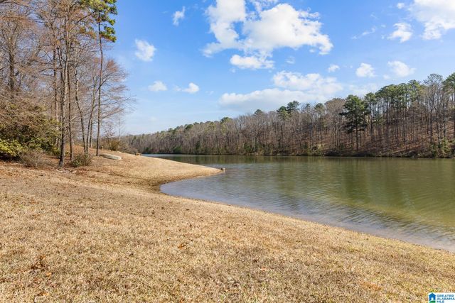 8707 CARRINGTON LAKE RIDGE, Trussville, AL 35173