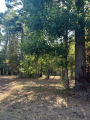 TBD Weepee Drive, Livingston, TX 77351