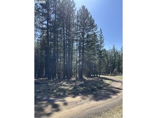 Lot 4 Thompson Trail, Goldendale, WA 98620