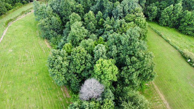 354 Dyer Ridge Rd, Baxter, TN 38544