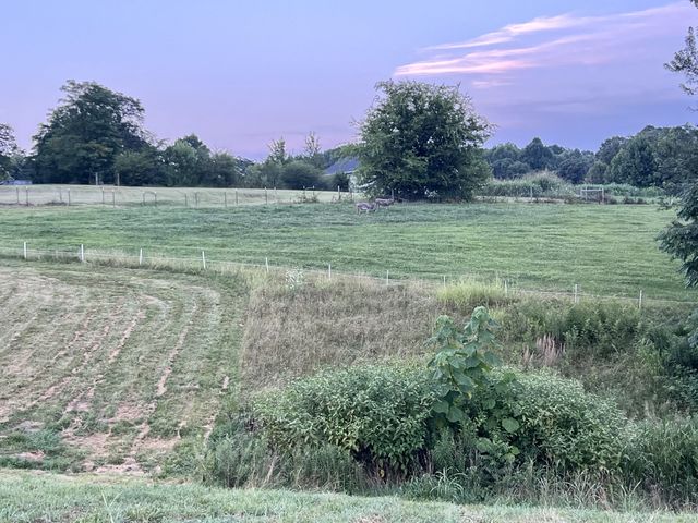 354 Dyer Ridge Rd, Baxter, TN 38544