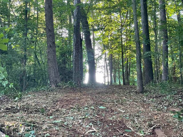 206 Park Road, Townville, SC 29689
