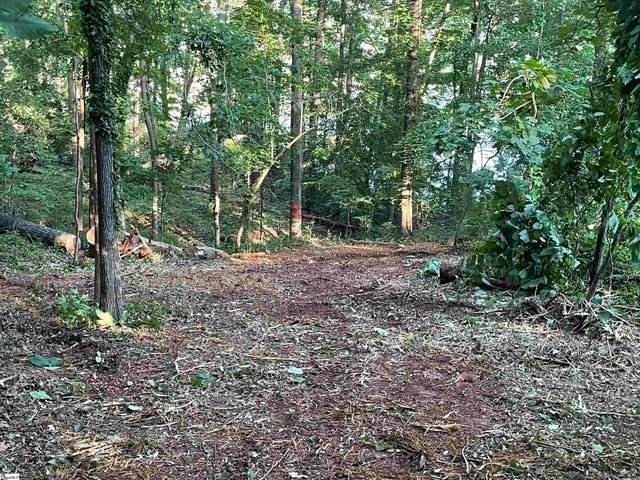 206 Park Road, Townville, SC 29689