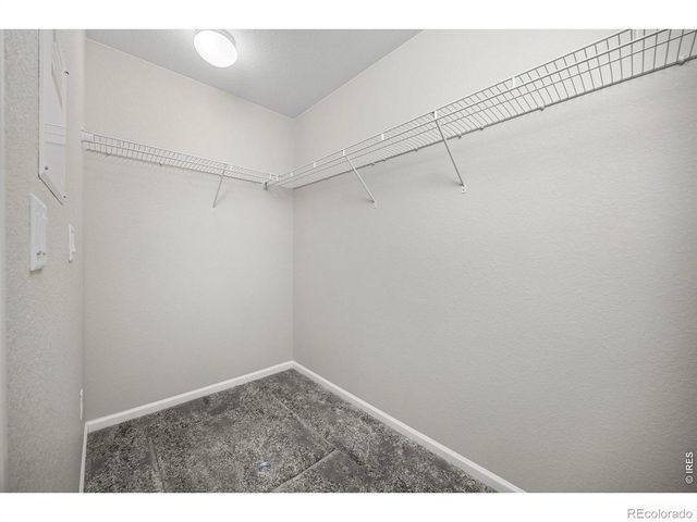 3266 Loomis Lake Court, Loveland, CO 80538