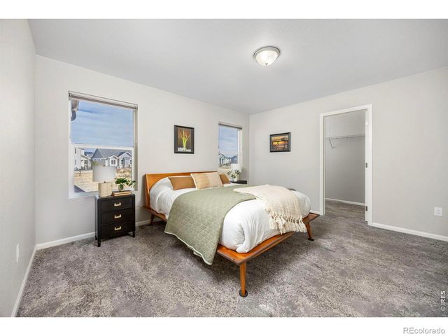 3266 Loomis Lake Court, Loveland, CO 80538