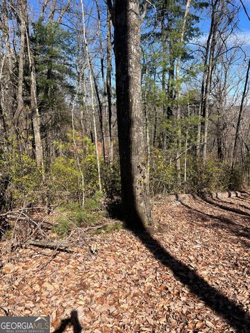 0 Eastman MTN Road, Tiger, GA 30576