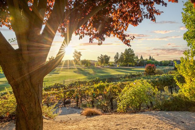 8172 Anastasia Way, El Dorado Hills, CA 95762