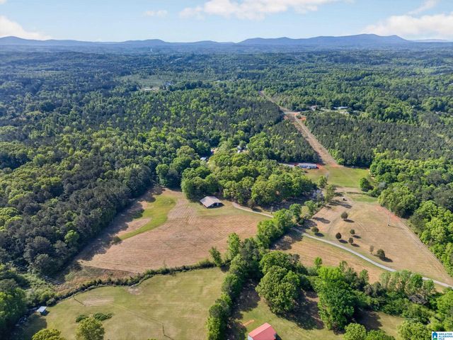 325 GRIZZLE LANE, Talladega, AL 35160